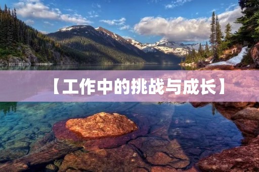 【工作中的挑战与成长】