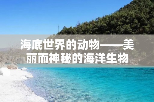 海底世界的动物——美丽而神秘的海洋生物