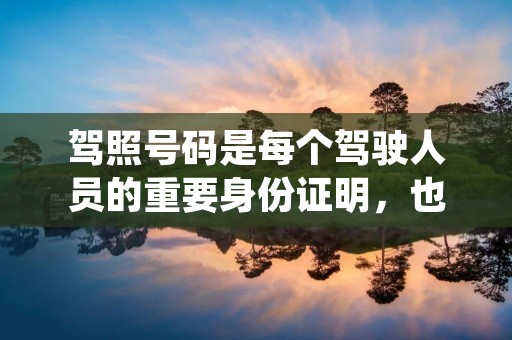 驾照号码是每个驾驶人员的重要身份证明,也是进行交通违法处理和驾驶证换证等事项的必要条件。在中国,驾照号码是由公安交通管理部门统一颁发和管理的,具有唯一性和可查询性。下面,我们就来详细了解一下驾照号码的相关知识。 驾照号码是每个驾驶人员的重要身份证明,也是进行交通违法处理和驾驶证换证等事项的必要条件。在中国,驾照号码是由公安交通管理部门统一颁发和管理的,具有唯一性和可查询性。下面,我们就来详细了解一下驾照号码的相关知识。