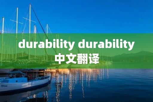 durability durability中文翻译