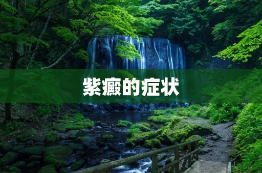 紫癜的症状:了解这种疾病的表现 紫癜的症状:了解这种疾病的表现