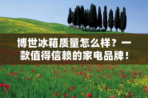 博世冰箱质量怎么样?一款值得信赖的家电品牌! 博世冰箱质量怎么样?一款值得信赖的家电品牌!