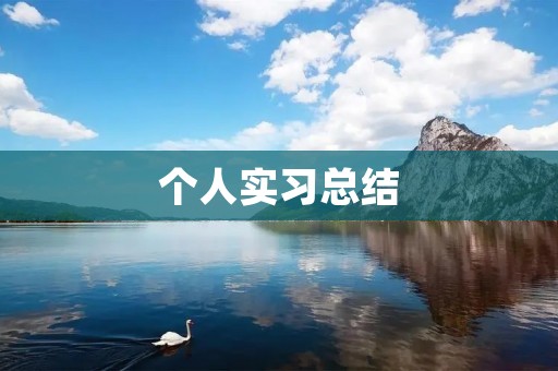 个人实习总结：在实践中成长