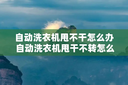 自动洗衣机甩不干怎么办 自动洗衣机甩干不转怎么解决