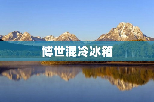 博世混冷冰箱：高效能的智能家电