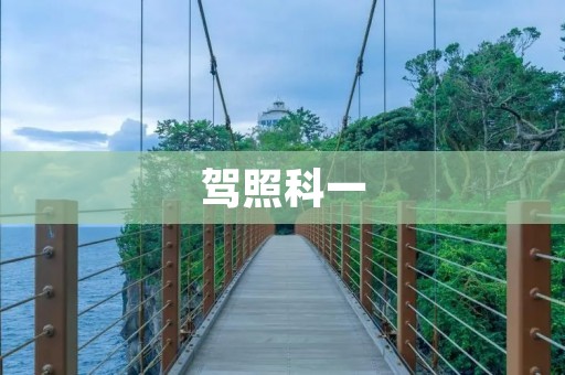 驾照科一:考试必备知识详解 驾照科一:考试必备知识详解