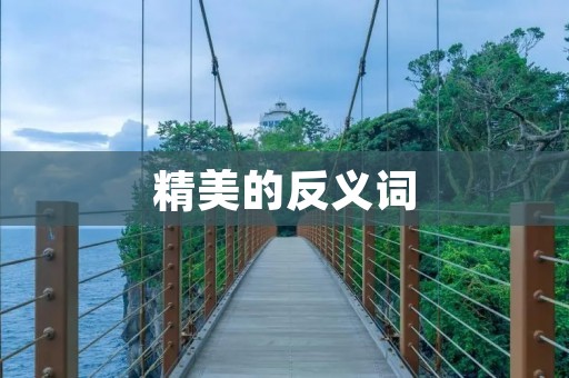 精美的反义词:从“精致”到“朴素”