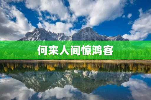 何来人间惊鸿客:一个普通人的追求与感悟
