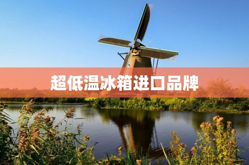 超低温冰箱进口品牌：你需要了解的一切