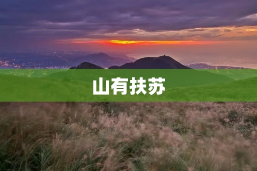 山有扶苏:大自然中的奇妙生灵