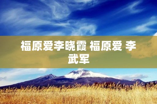 福原爱李晓霞 福原爱 李武军