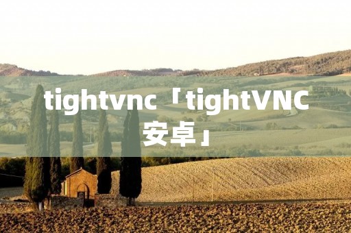 tightvnc「tightVNC安卓」
