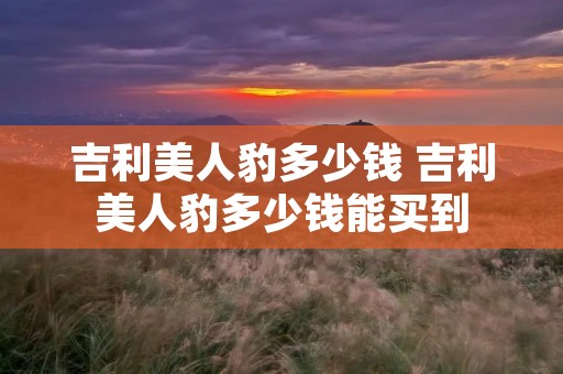 吉利美人豹多少钱 吉利美人豹多少钱能买到