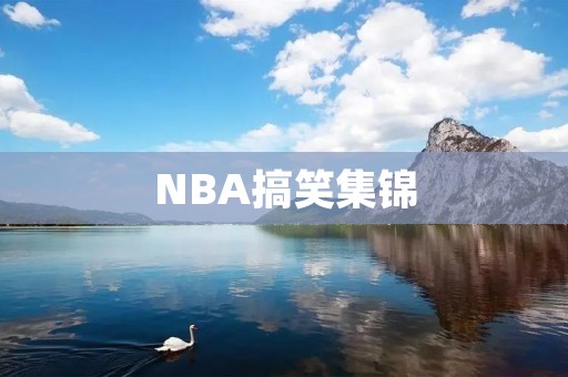 NBA搞笑集锦：让你笑到崩溃的NBA球员们