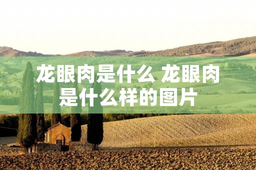 龙眼肉是什么 龙眼肉是什么样的图片