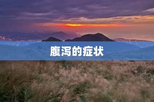 腹泻的症状：详细解析