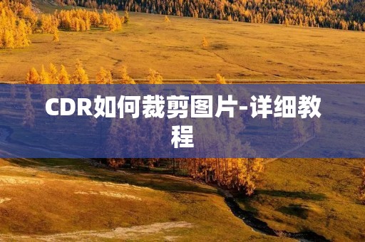 CDR如何裁剪图片-详细教程