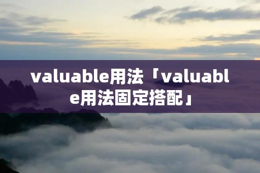 valuable用法「valuable用法固定搭配」