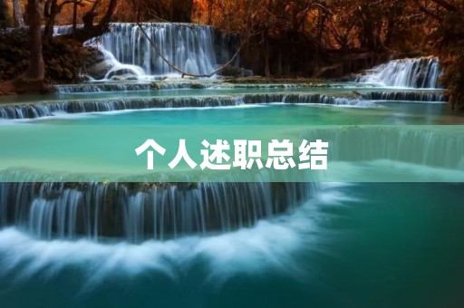 个人述职总结：我在公司的工作成果与感悟