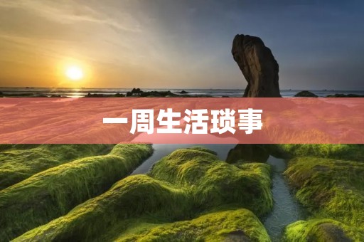 一周生活琐事 一周生活琐事