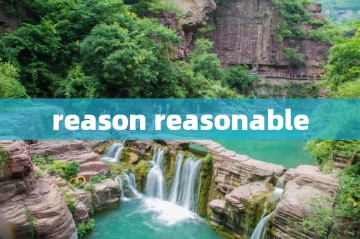reason reasonable