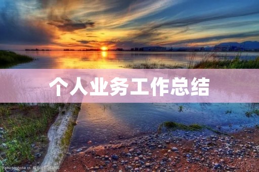 个人业务工作总结:提升自我价值,实现职业生涯目标