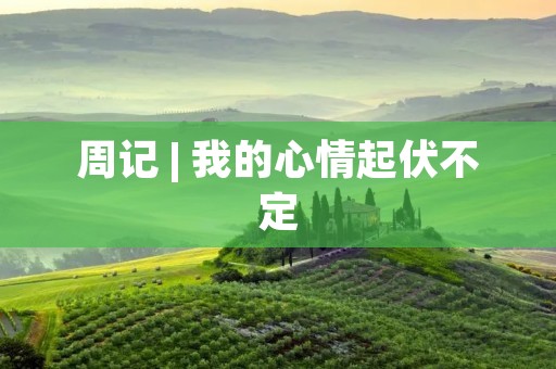 周记 | 我的心情起伏不定