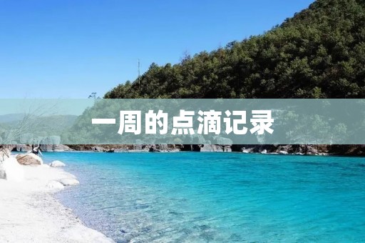 一周的点滴记录