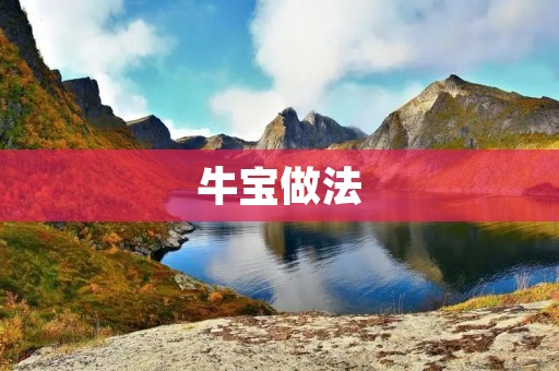 牛宝做法：美味佳肴的秘密