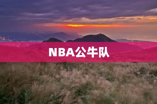 NBA公牛队：历史、现状与未来