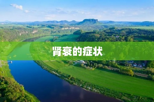 肾衰的症状：了解肾衰的早期信号