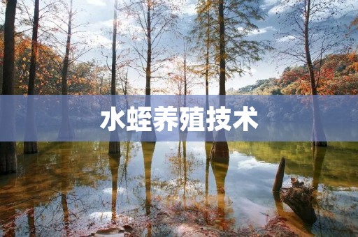 水蛭养殖技术