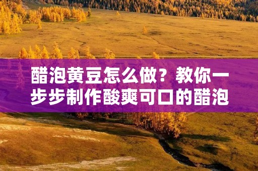 醋泡黄豆怎么做?教你一步步制作酸爽可口的醋泡黄豆!