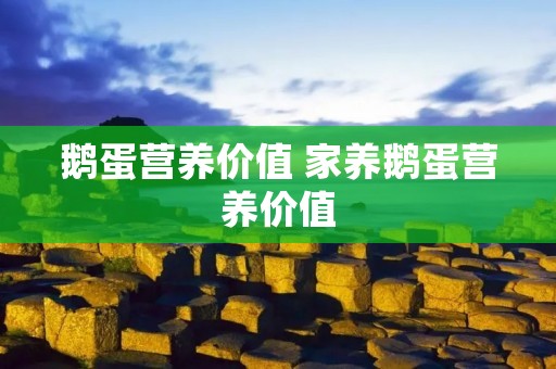 鹅蛋营养价值 家养鹅蛋营养价值