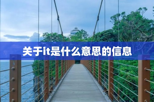 关于it是什么意思的信息
