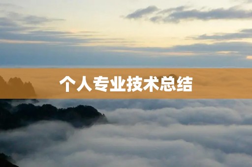 个人专业技术总结