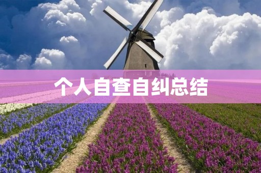 个人自查自纠总结:建立自我反思机制,提升自我管理能力