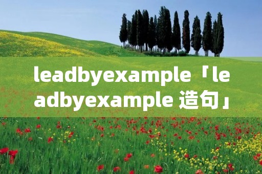 leadbyexample「leadbyexample 造句」