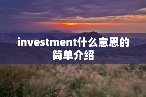 investment什么意思的简单介绍