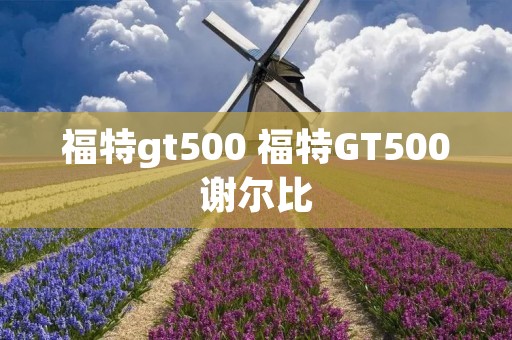 福特gt500 福特GT500谢尔比 福特gt500 福特GT500谢尔比