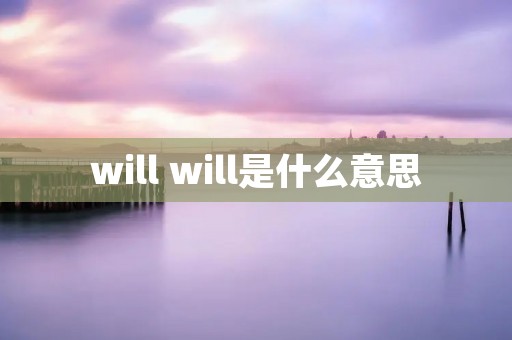 will will是什么意思