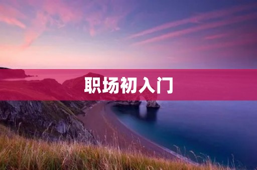 职场初入门:我的成长历程