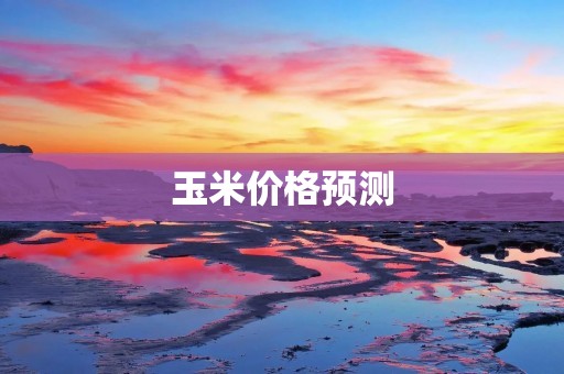 玉米价格预测：从供需角度分析