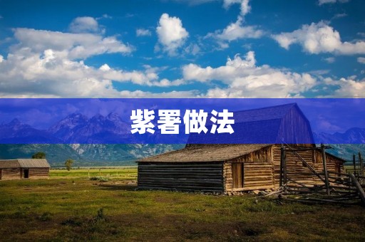 紫署做法：一种独具特色的传统美食