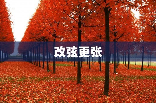 改弦更张:重新审视问题与突破困境 改弦更张:重新审视问题与突破困境