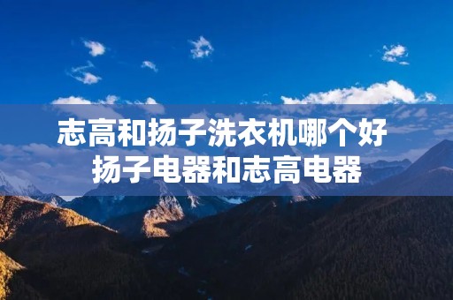 志高和扬子洗衣机哪个好 扬子电器和志高电器