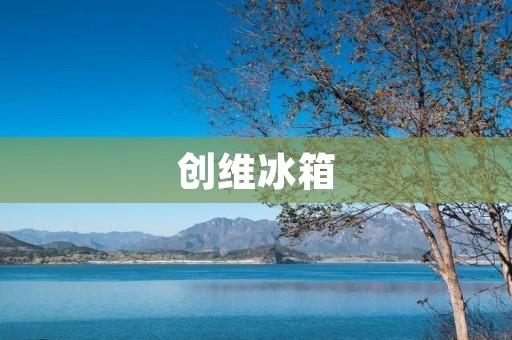 创维冰箱:品牌还是非品牌? 创维冰箱:品牌还是非品牌?