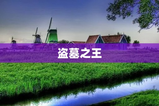 盗墓之王：一场令人热血沸腾的探险之旅