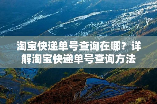 淘宝快递单号查询在哪？详解淘宝快递单号查询方法