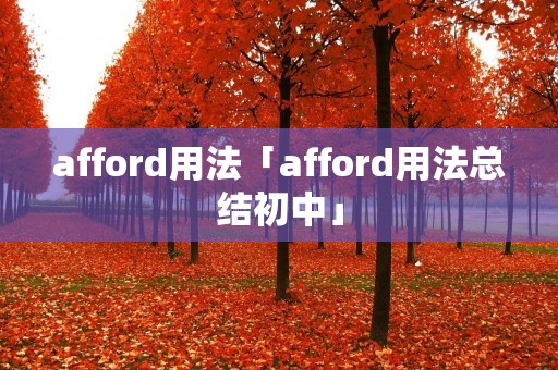 afford用法「afford用法总结初中」